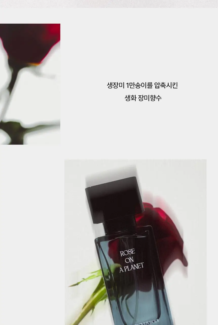 마인드오버바디 오드퍼퓸 50ml 로즈온어플래닛 [장미향수] 상세페이지 2